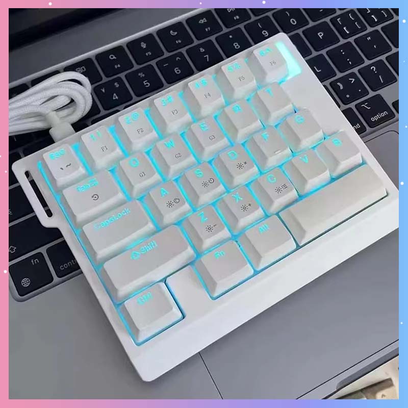 Gaming Keyboard Magnetic Switches - HE30 メカニカルゲーミングキーボード 29キー 磁気スイッチ 8000HZ対応 マクロプログラミング